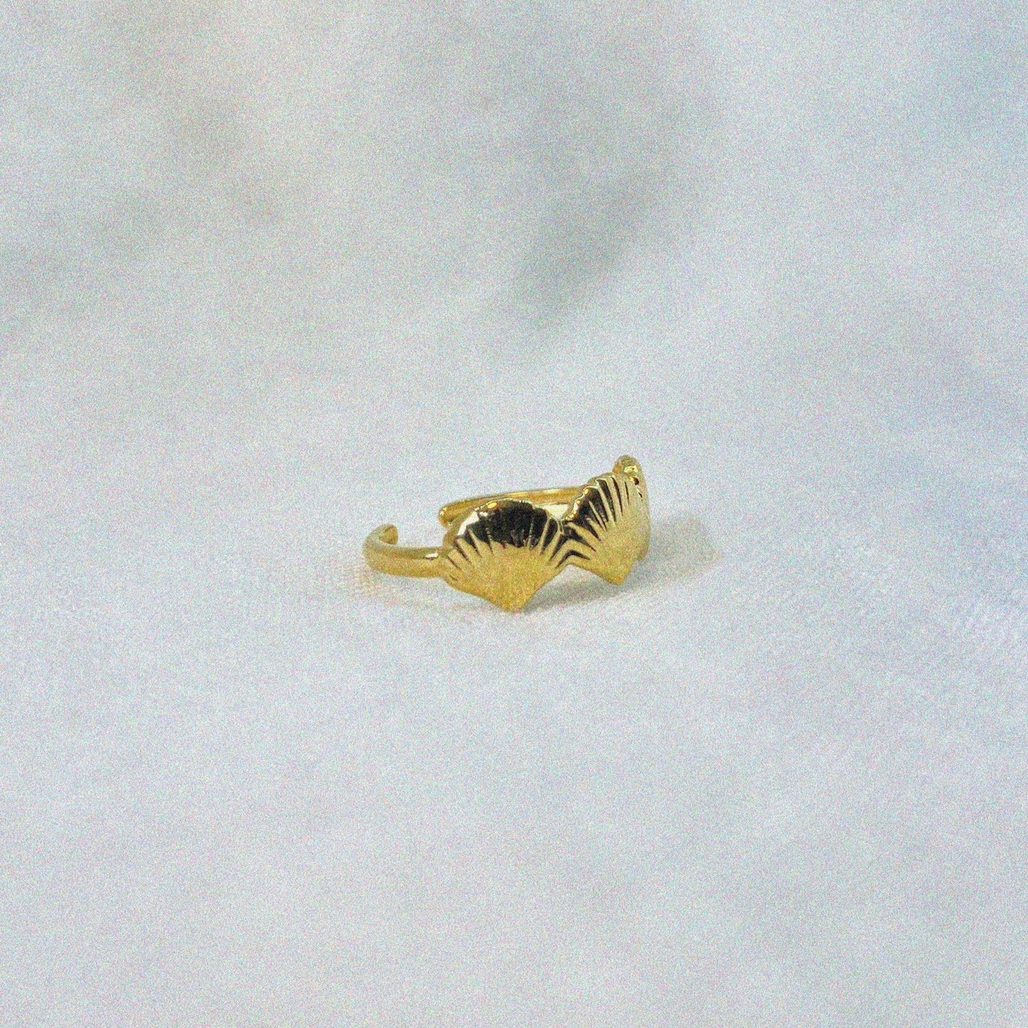 Shell Ring
