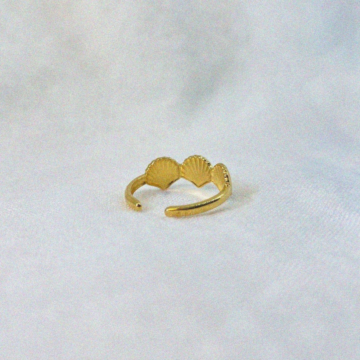 Shell Ring